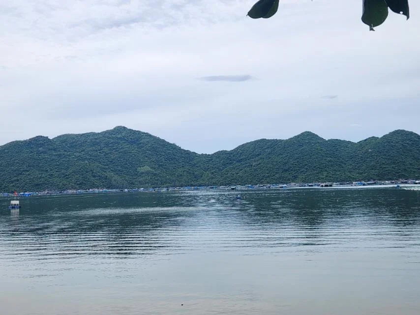 HÀNH TRÌNH VỀ NGUỒN: VŨNG RÔ, PHÚ YÊN