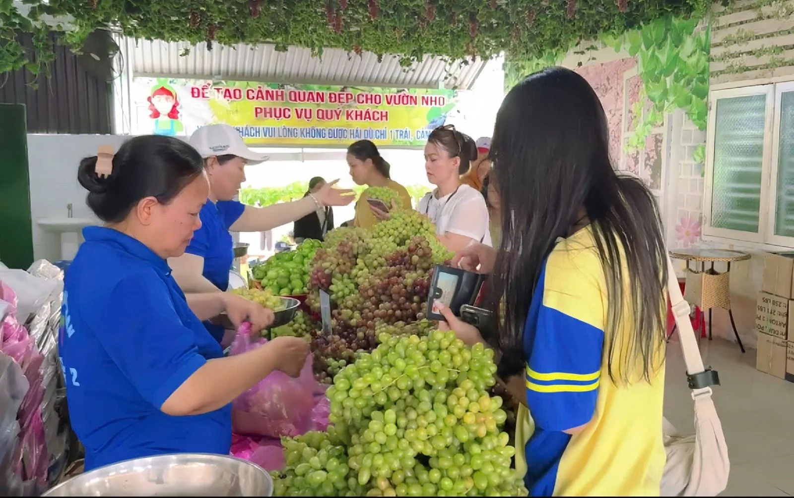 CHUYỂN TÀU MÙA HÈ PHS TIẾP TỤC LĂN BÁNH, RONG RUỔI ĐẾN DINH VẠN THỦY TÚ VÀ VƯỜN NHO