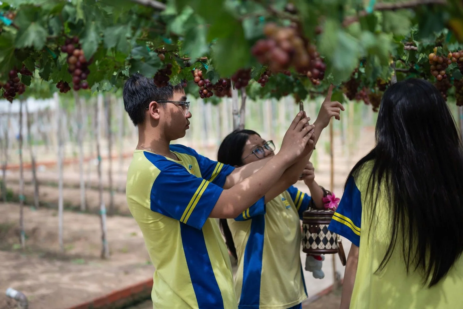 CHUYỂN TÀU MÙA HÈ PHS TIẾP TỤC LĂN BÁNH, RONG RUỔI ĐẾN DINH VẠN THỦY TÚ VÀ VƯỜN NHO