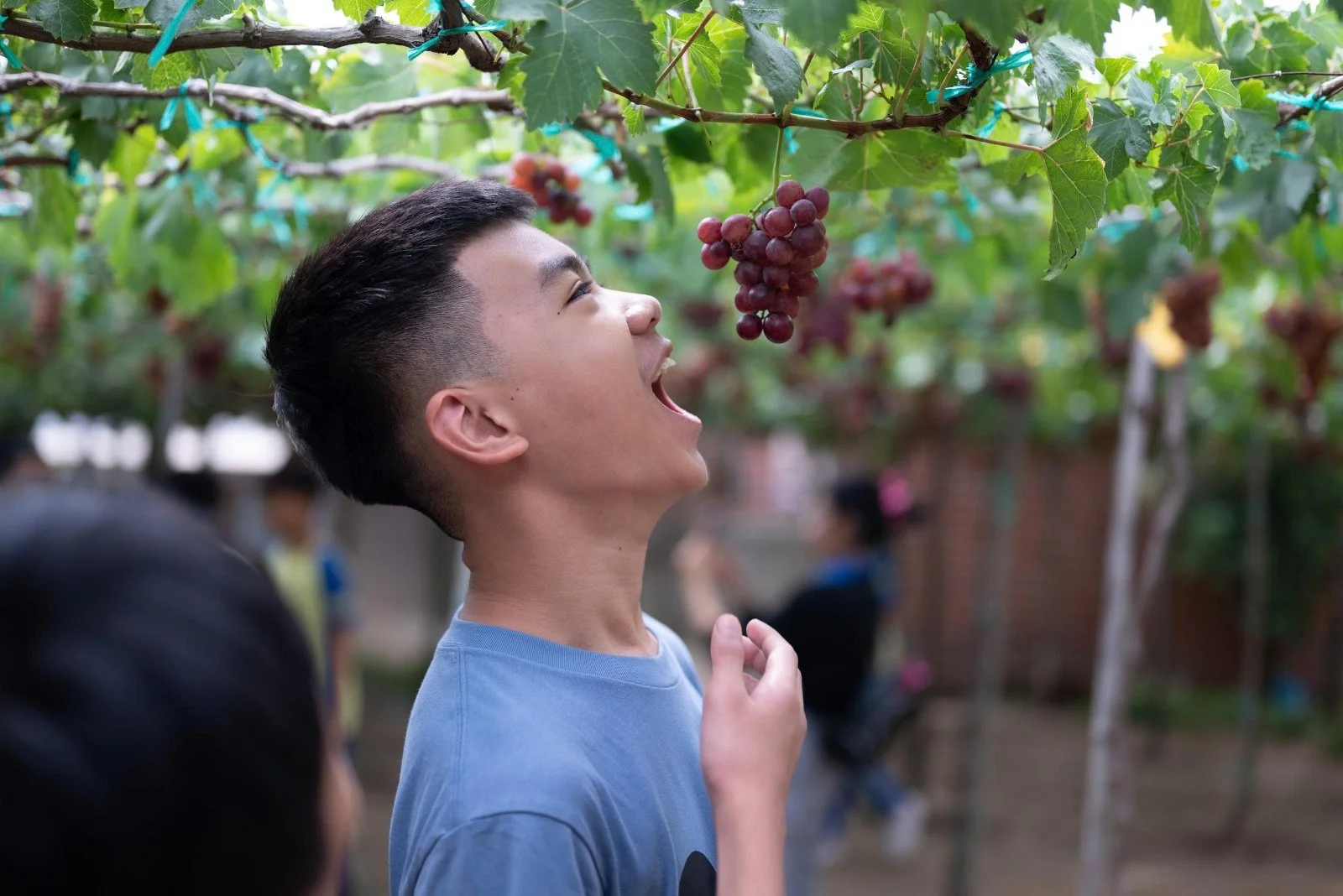 CHUYỂN TÀU MÙA HÈ PHS TIẾP TỤC LĂN BÁNH, RONG RUỔI ĐẾN DINH VẠN THỦY TÚ VÀ VƯỜN NHO