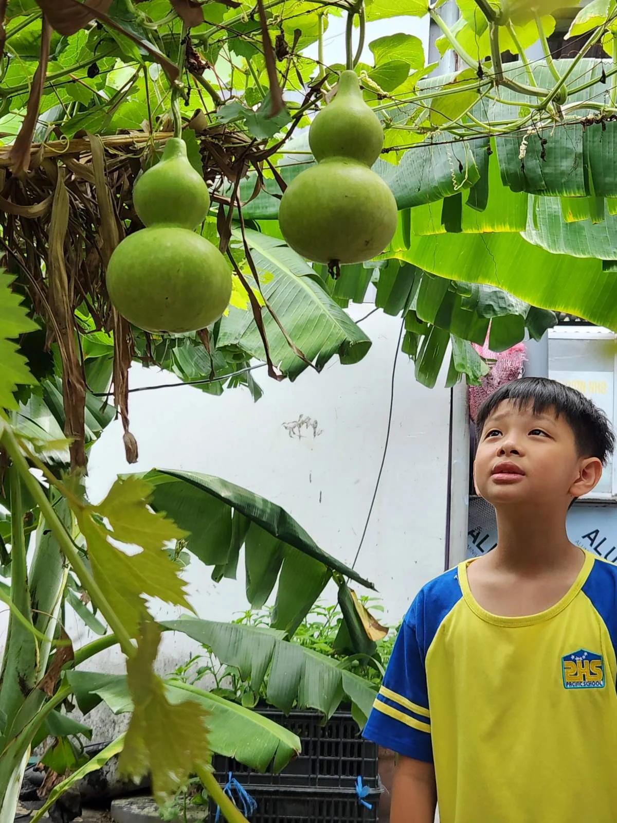 CHUYỂN TÀU MÙA HÈ PHS TIẾP TỤC LĂN BÁNH, RONG RUỔI ĐẾN DINH VẠN THỦY TÚ VÀ VƯỜN NHO