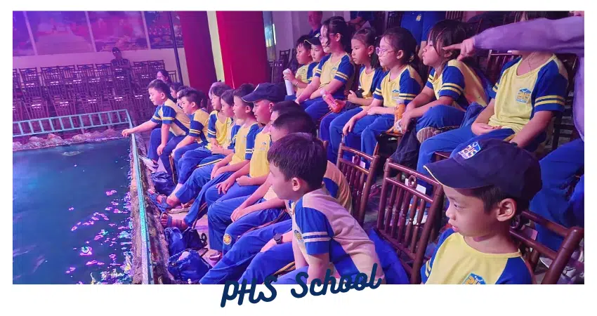 CÁ CHÉP HÓA RỒNG VÀ CƠN MƯA BẤT NGỜ🌧️✨