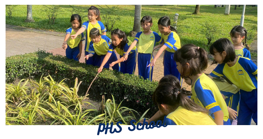 🌳 LỚP 3 và PHÒNG HỌC ĐA NĂNG! 🔬🌿