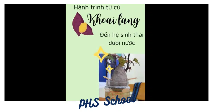 🌱 HÀNH TRÌNH KỲ DIỆU TỪ CỦ KHOAI LANG 🍠