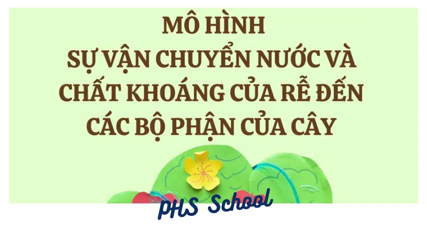 Dòng chảy của sự sống qua đôi bàn tay nhỏ! 🌳💧