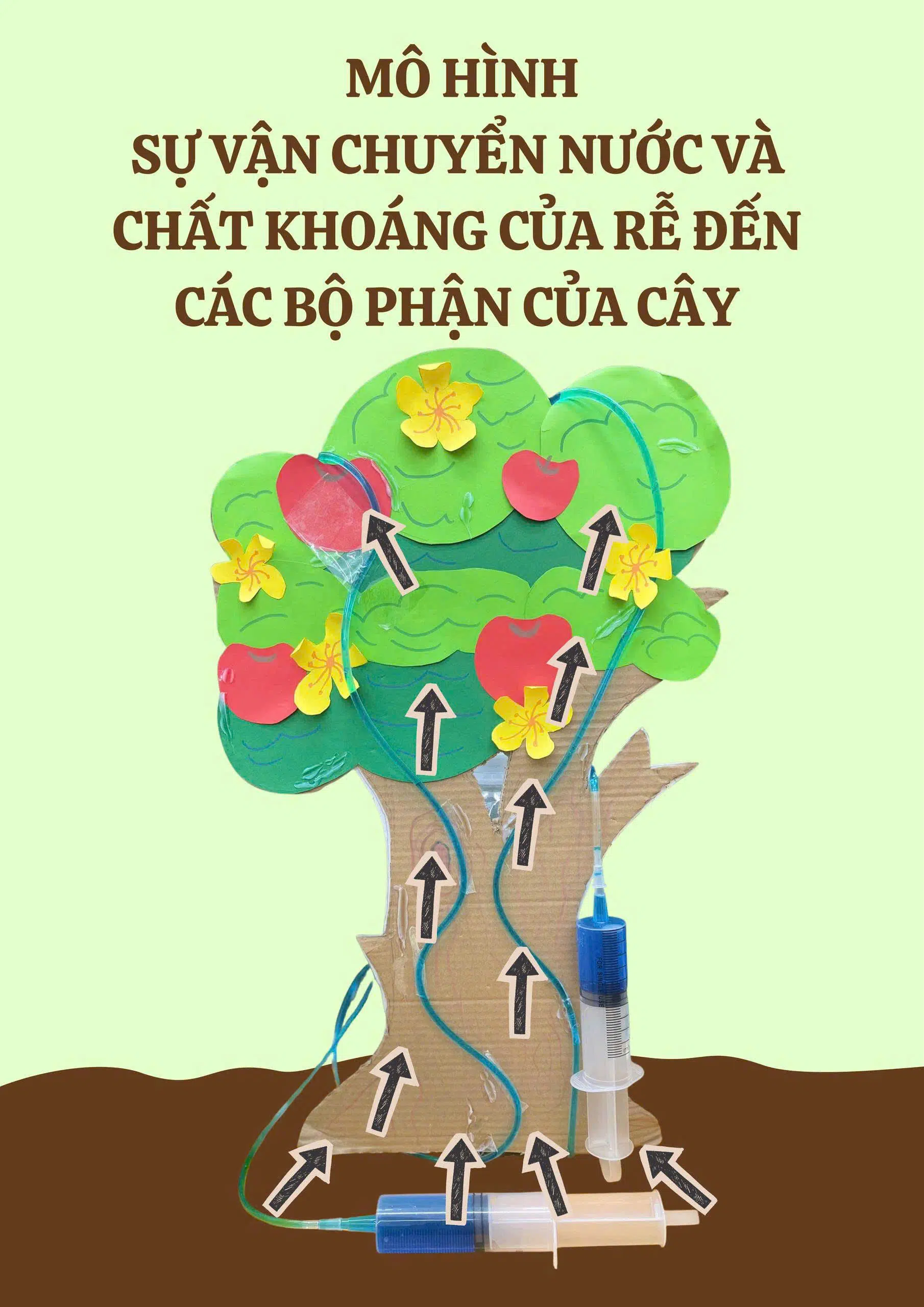 Dòng chảy của sự sống qua đôi bàn tay nhỏ!