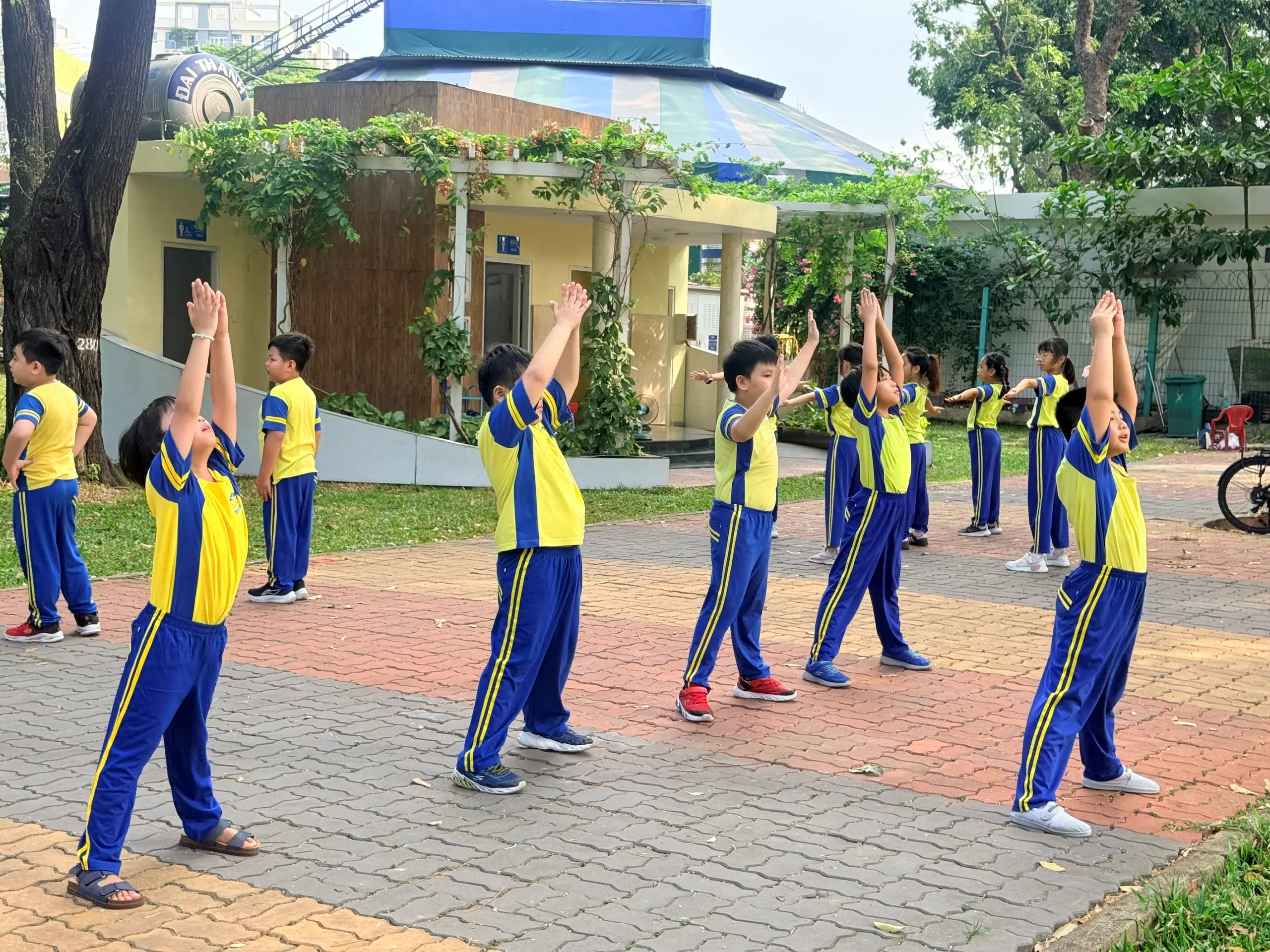 Giáo dục thể chất
