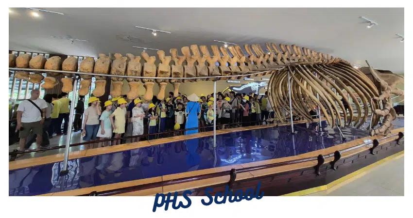 🌊 [PHS SUMMER TRAIN] – TOUCHING THE WONDERS OF THE OCEAN AT THE INSTITUTE OF OCEANOGRAPHY 🐠
