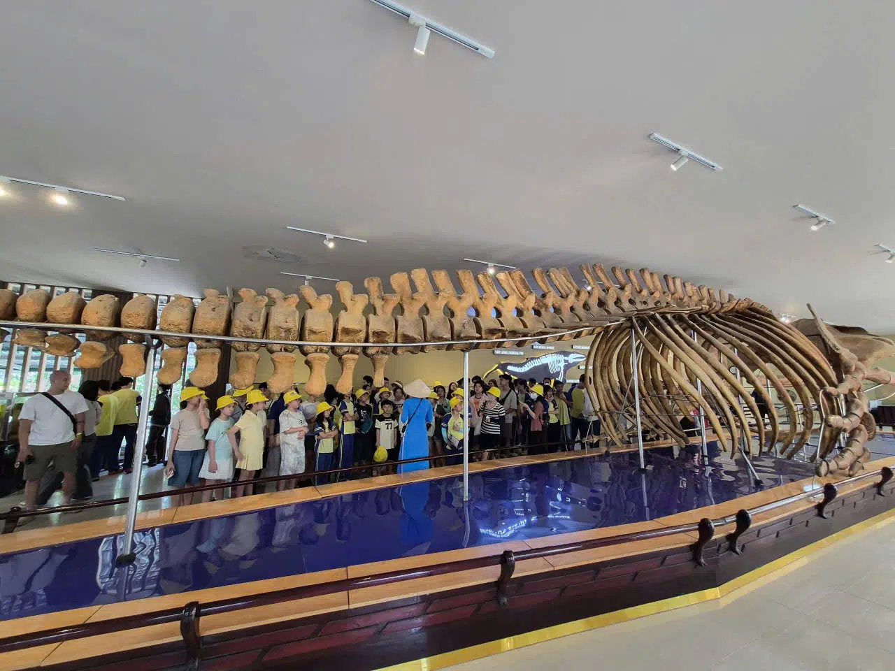 TOUCHING THE WONDERS OF THE OCEAN AT THE INSTITUTE OF OCEANOGRAPHY