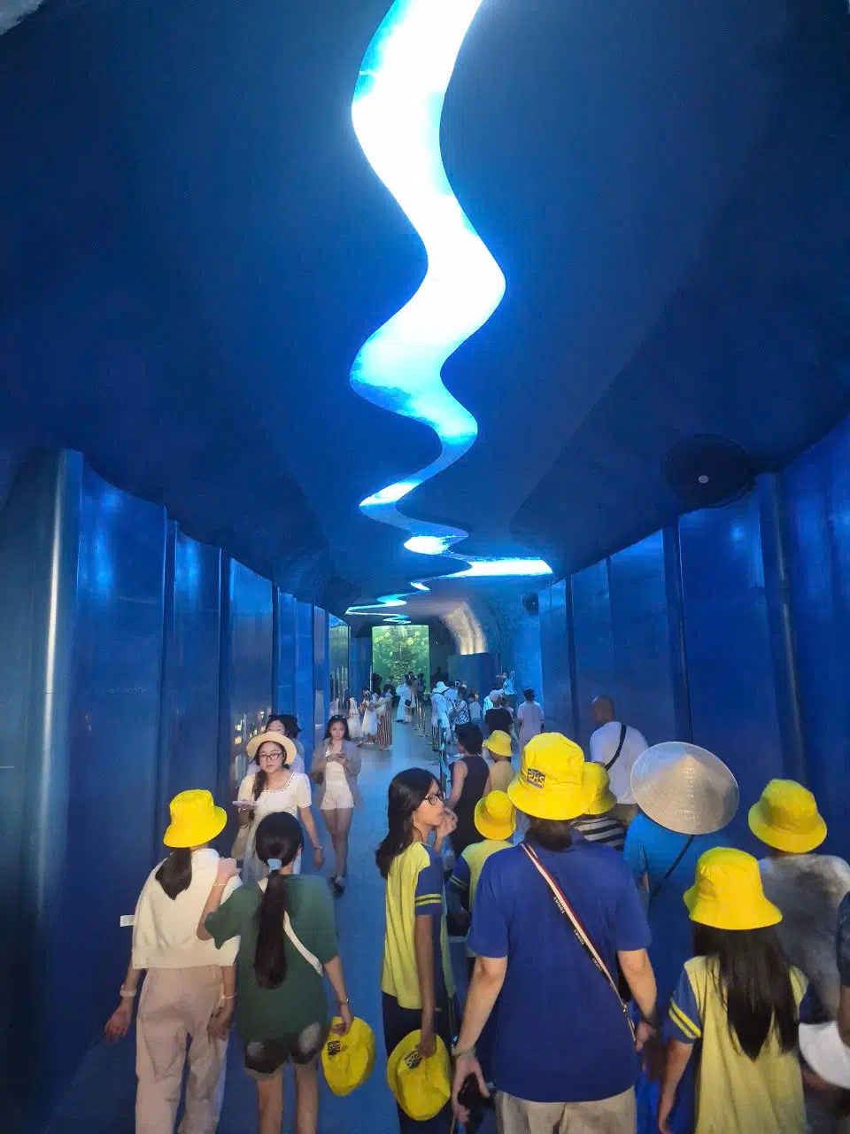 TOUCHING THE WONDERS OF THE OCEAN AT THE INSTITUTE OF OCEANOGRAPHY