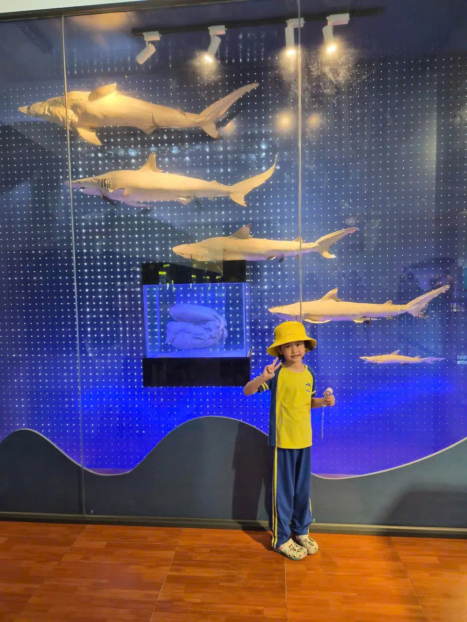 TOUCHING THE WONDERS OF THE OCEAN AT THE INSTITUTE OF OCEANOGRAPHY