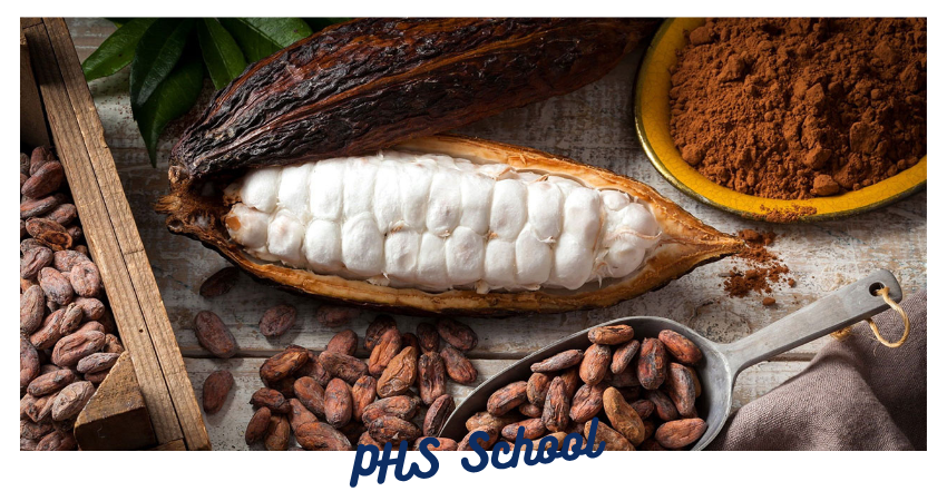 🍫 HÀNH TRÌNH SÔ-CÔ-LA NGỌT NGÀO | LỚP SATURN