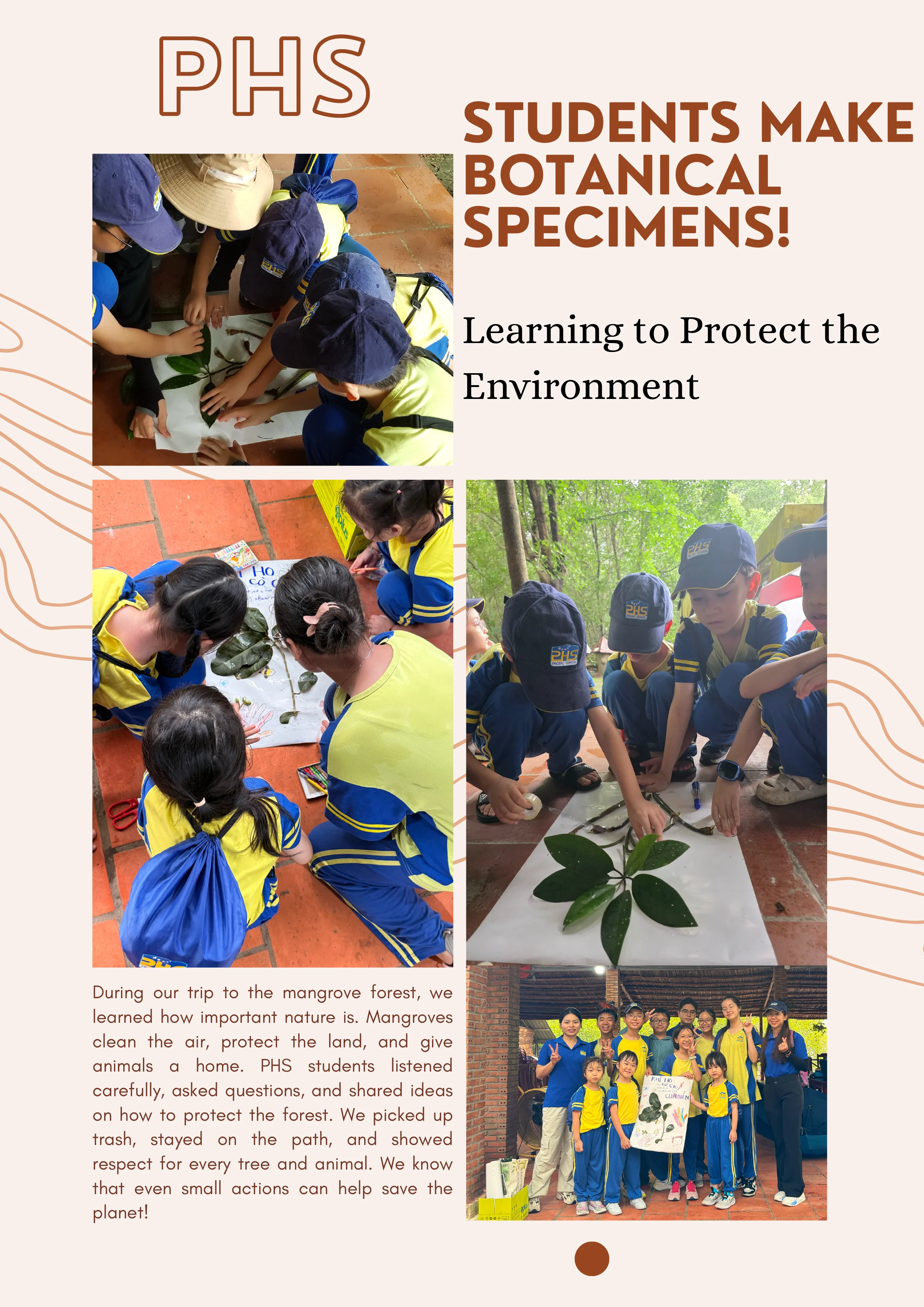 Studying at Can Gio mangrove biosphere reserve