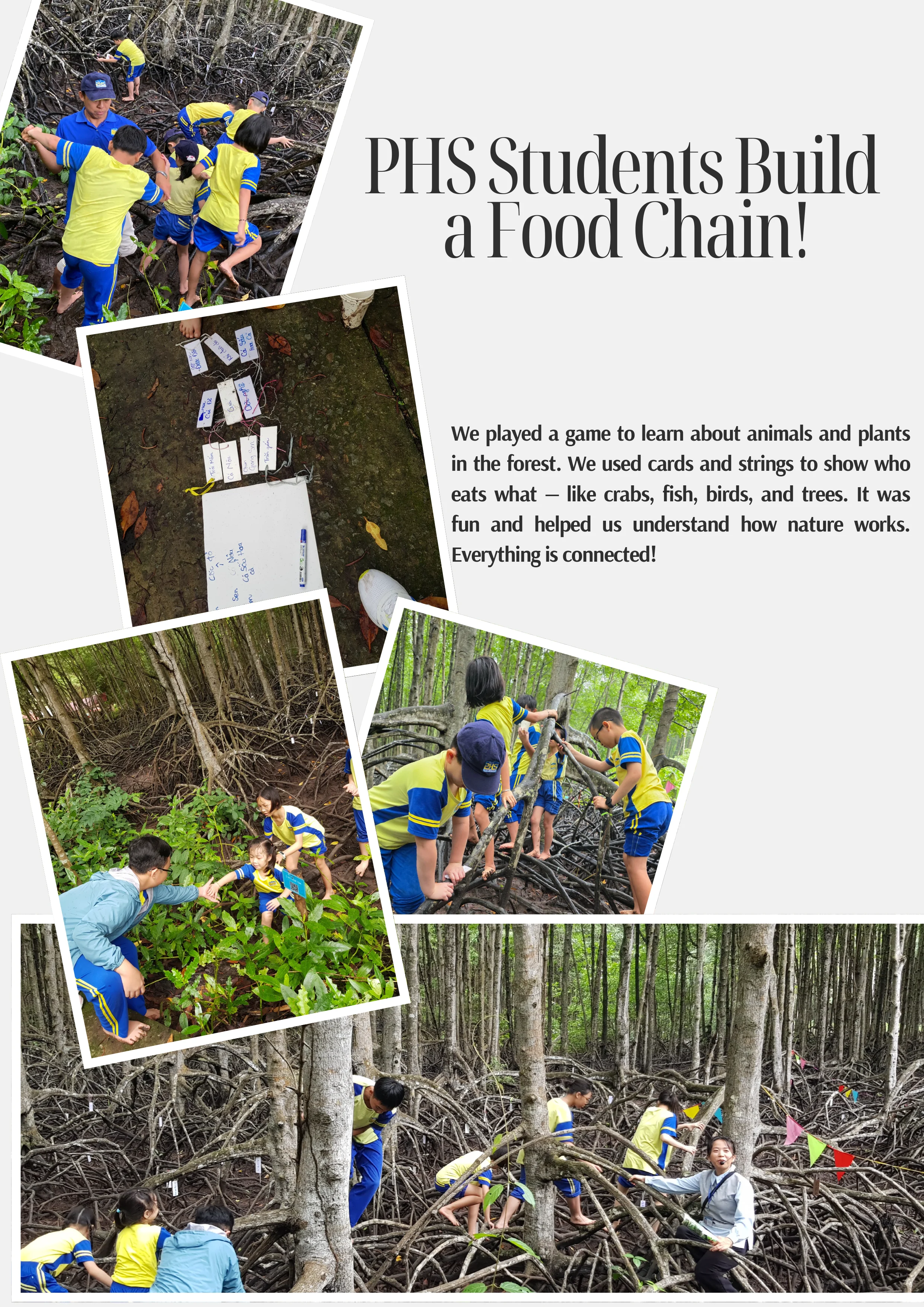 Studying at Can Gio mangrove biosphere reserve