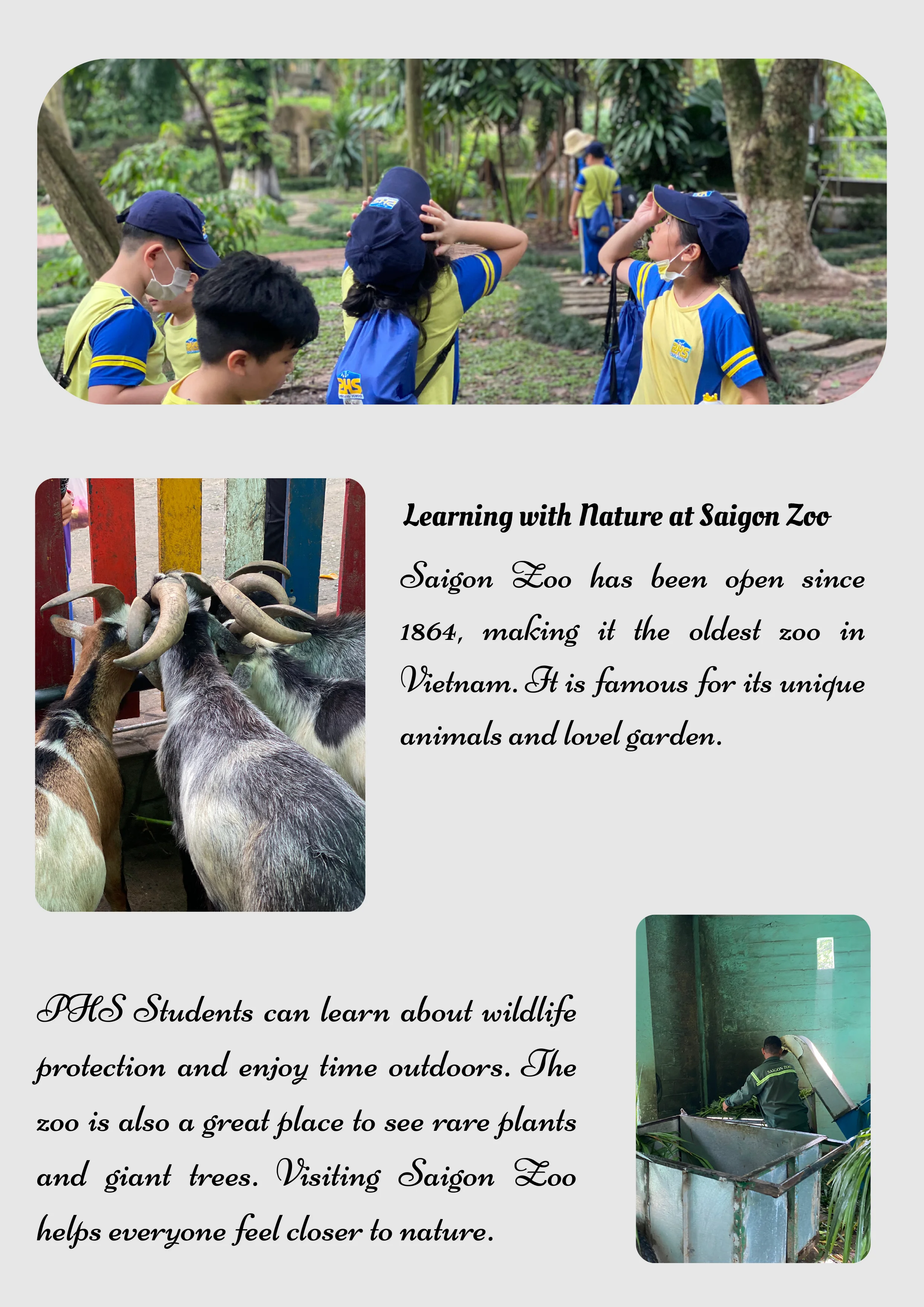 Discover the Oldest Zoo in Vietnam: A Place to Love Nature