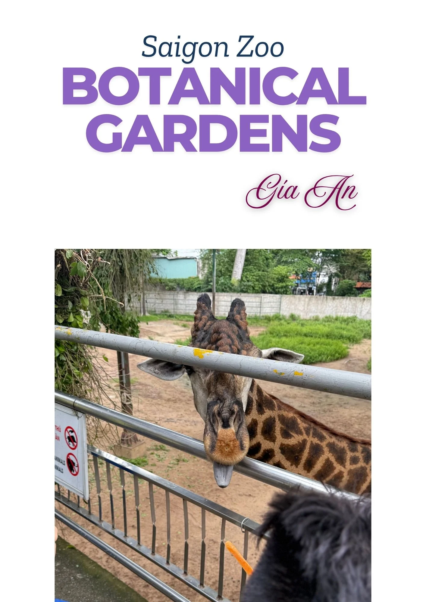 Saigon Zoo & Botanical Gardens