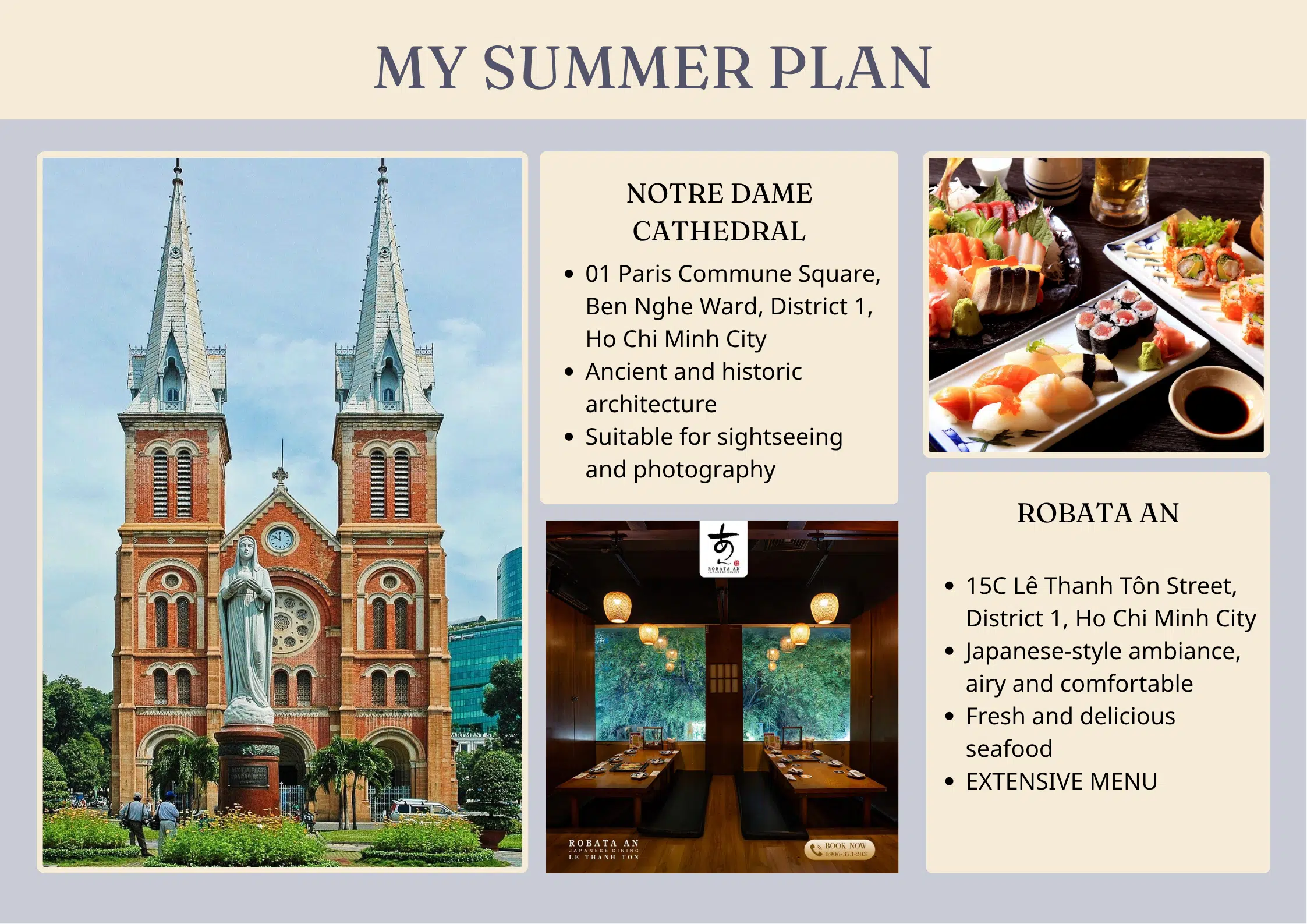 My summer plan