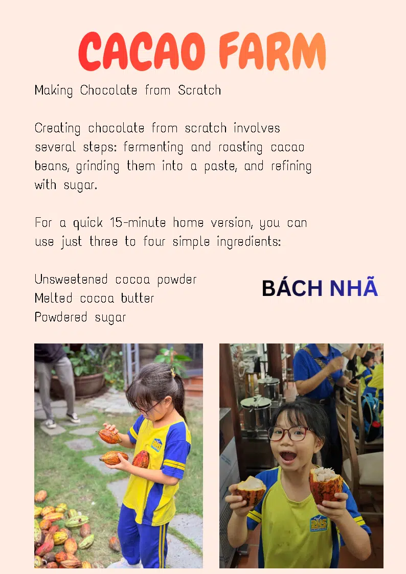 Making chocolate from Scratch
