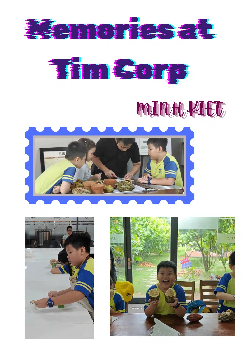 Memories at Tim Corp