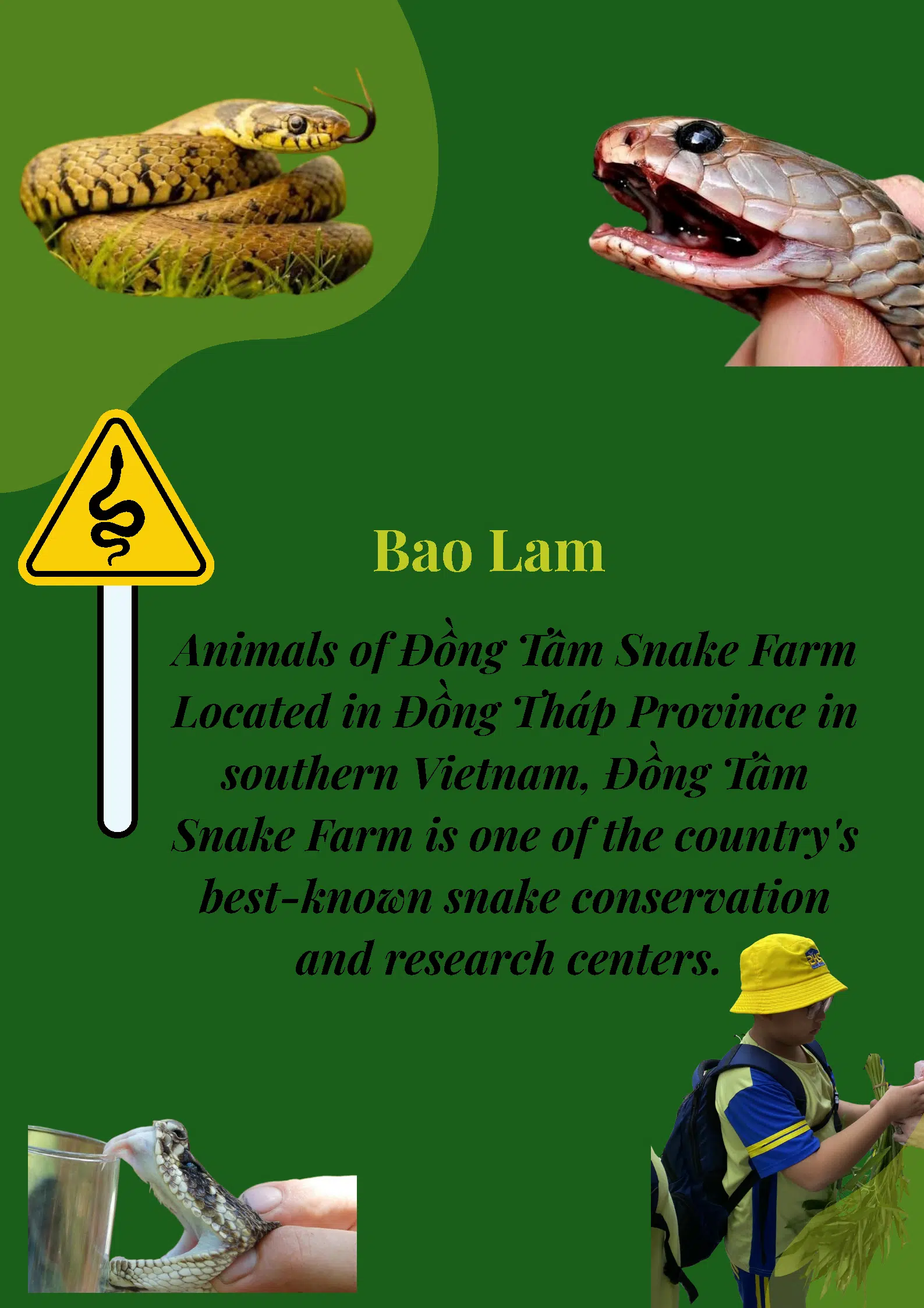 Bao Lam – Class Saturn